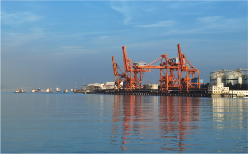 j9真人口服务有限公司